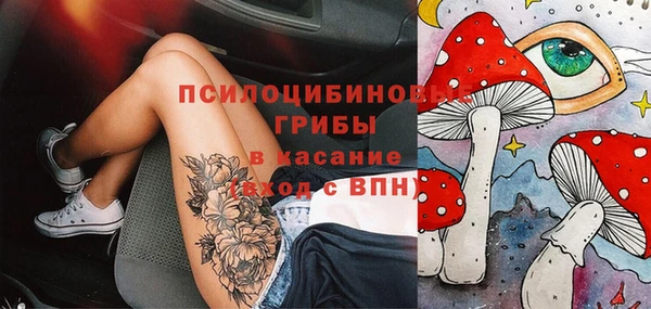 мет Каменка